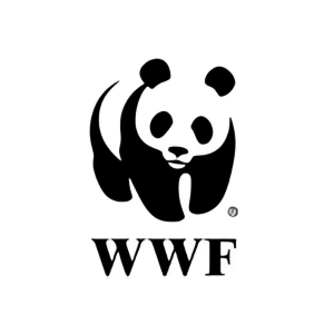 11 5a0f7180 85df 4dcb 9860 b496341e1a5c