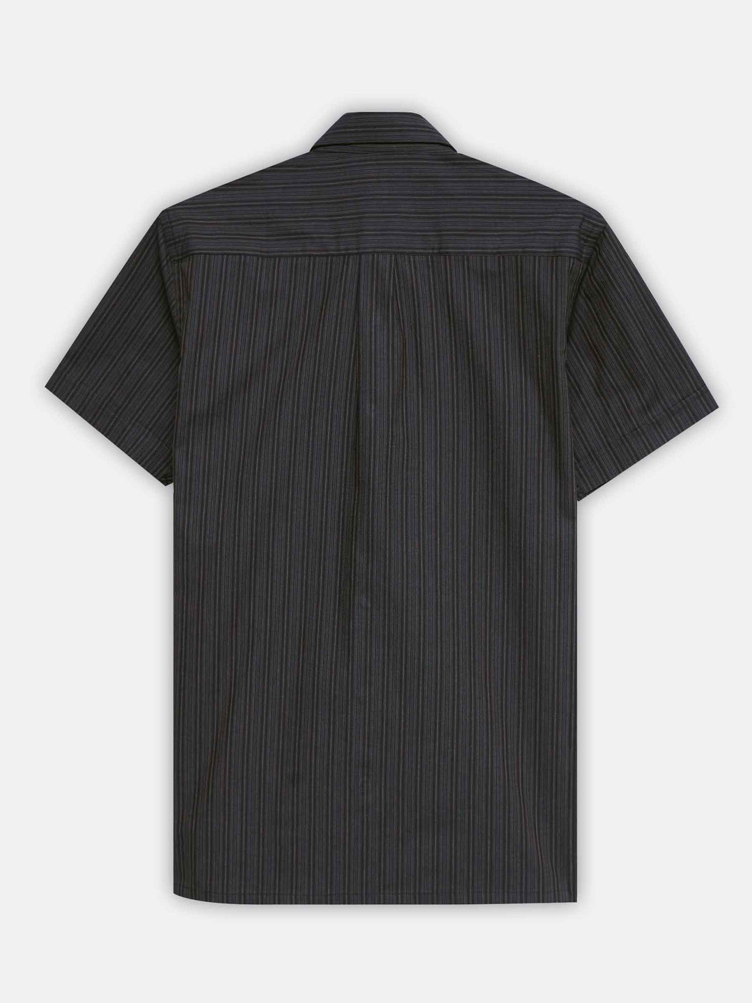 Black & Brown Striped Half Sleeve Shirt
