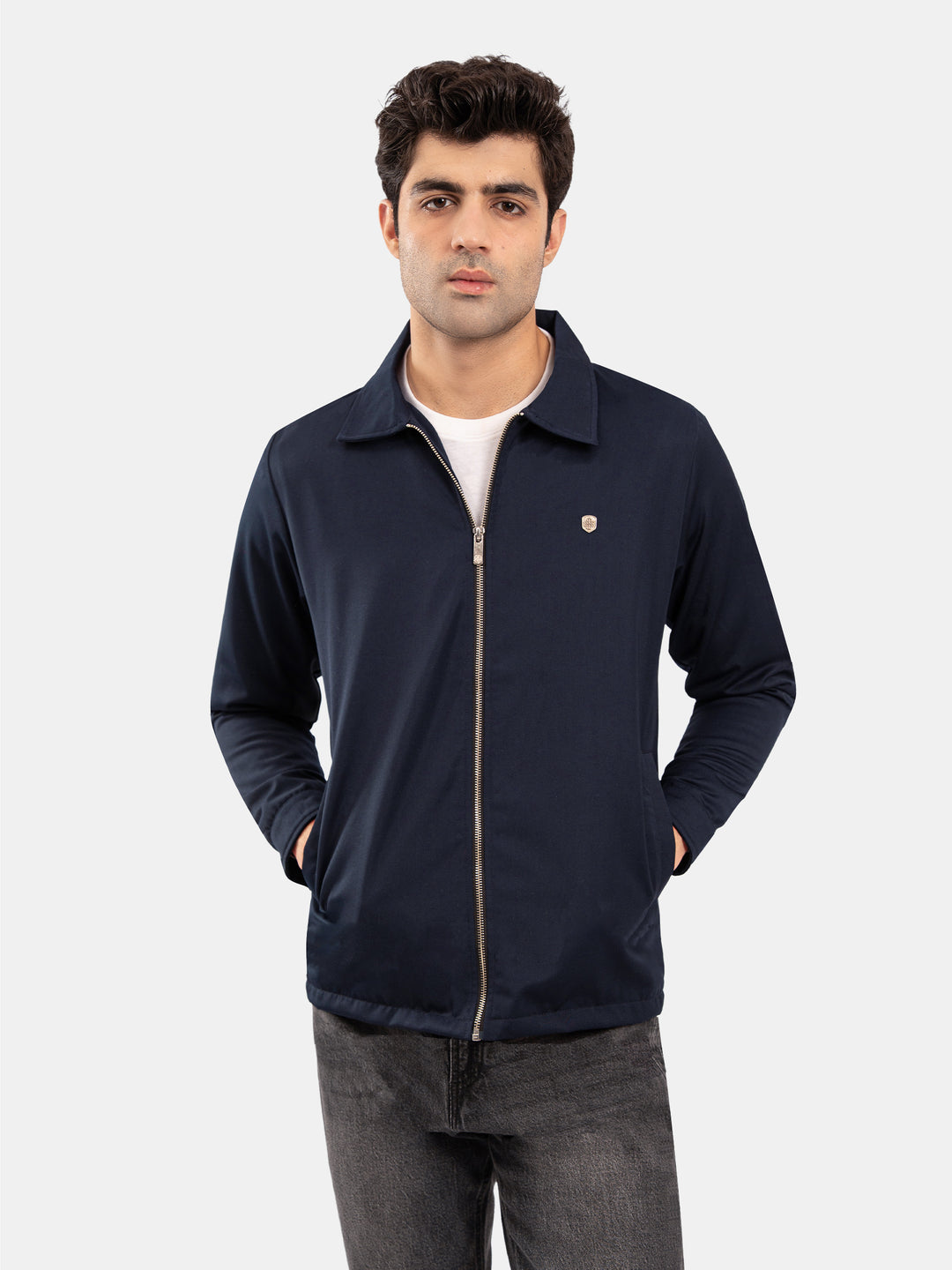 Blue Casual Collar Everyday Jacket