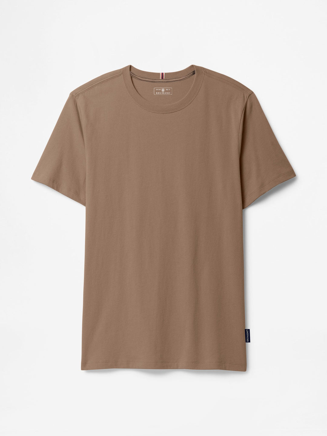 Brown Regular Fit Crew Neck T-Shirt