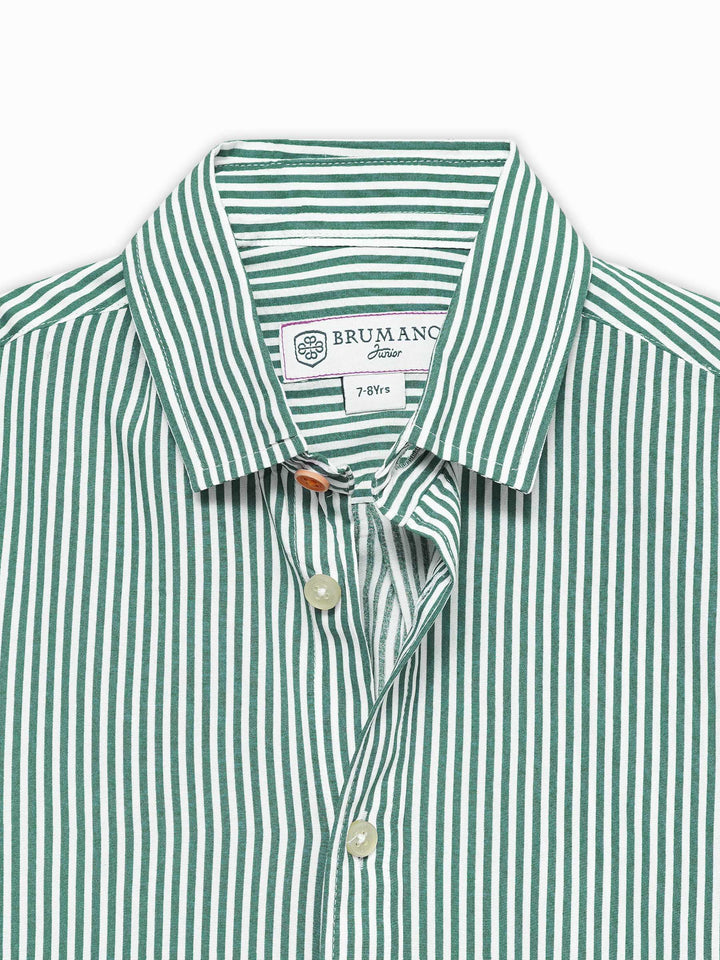 Green & White Striped Half Sleeve Casual Shirt - Junior