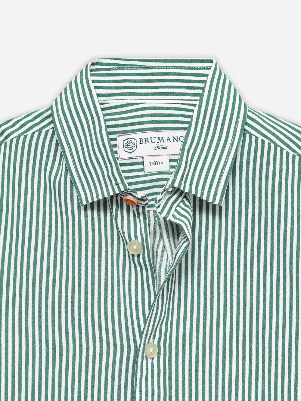 Green & White Striped Half Sleeve Casual Shirt - Junior