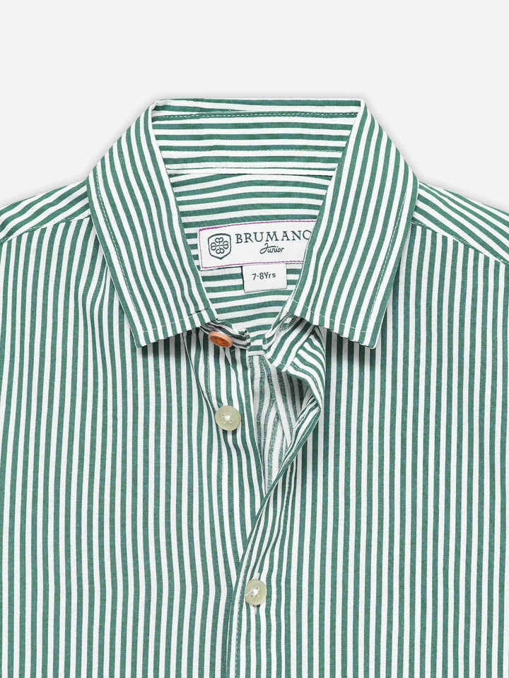 Green & White Striped Half Sleeve Casual Shirt - Junior
