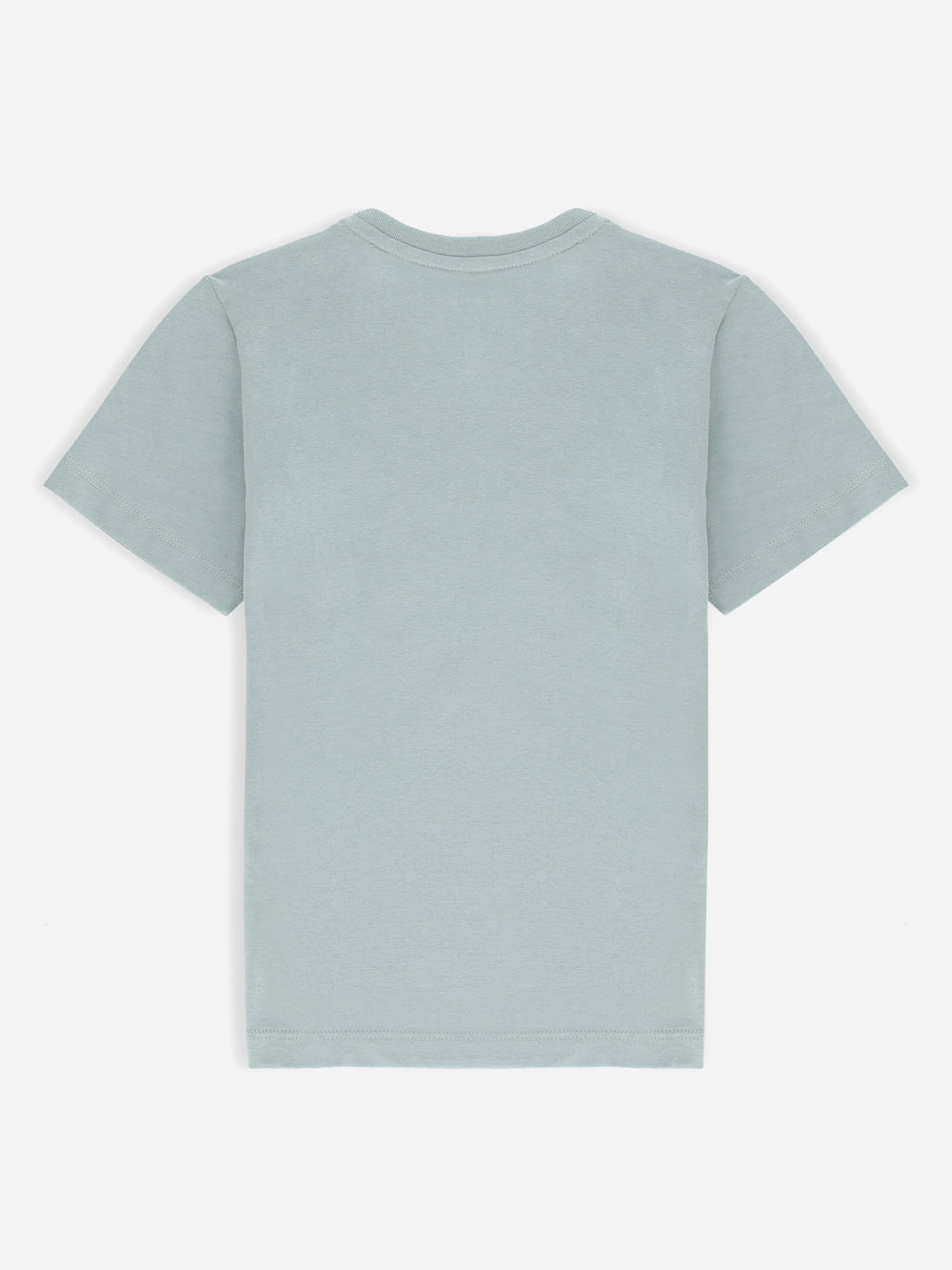 Sage Green Graphic Printed 'Abstract Art' Casual Tee
