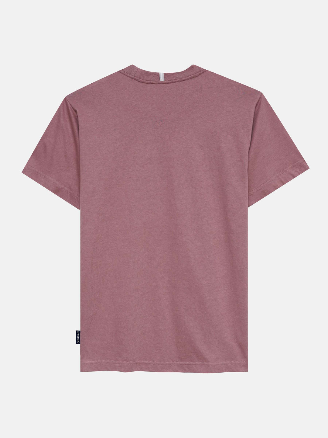 Tea Pink Regular Fit Crew Neck T-Shirt