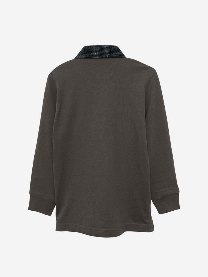 Brown Casual Full Sleeve Polo Shirt With Contrasting Collar